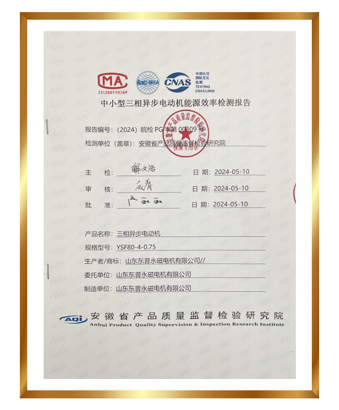 Dongpu Level 3 Energy Efficiency Testing Report+Energy Efficiency Label